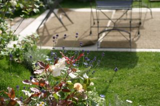 Patio Landscapes