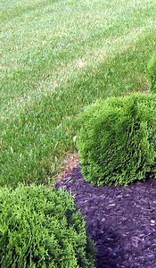 Make A Turf Patio